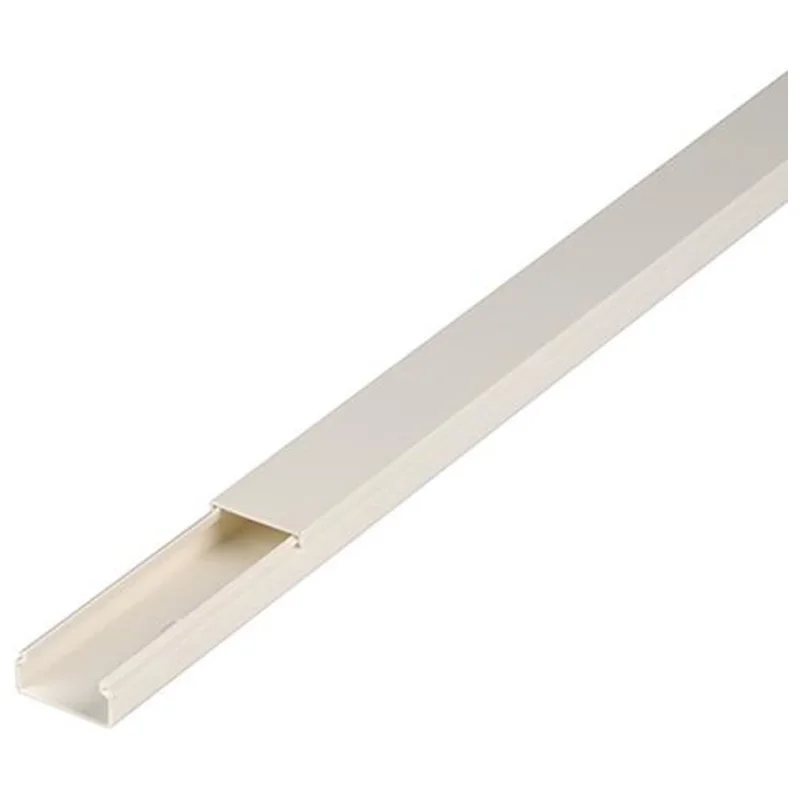 shop.doenges-rs1-243587