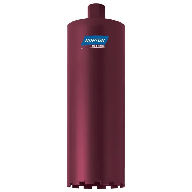 shop.doenges-rs1-276803