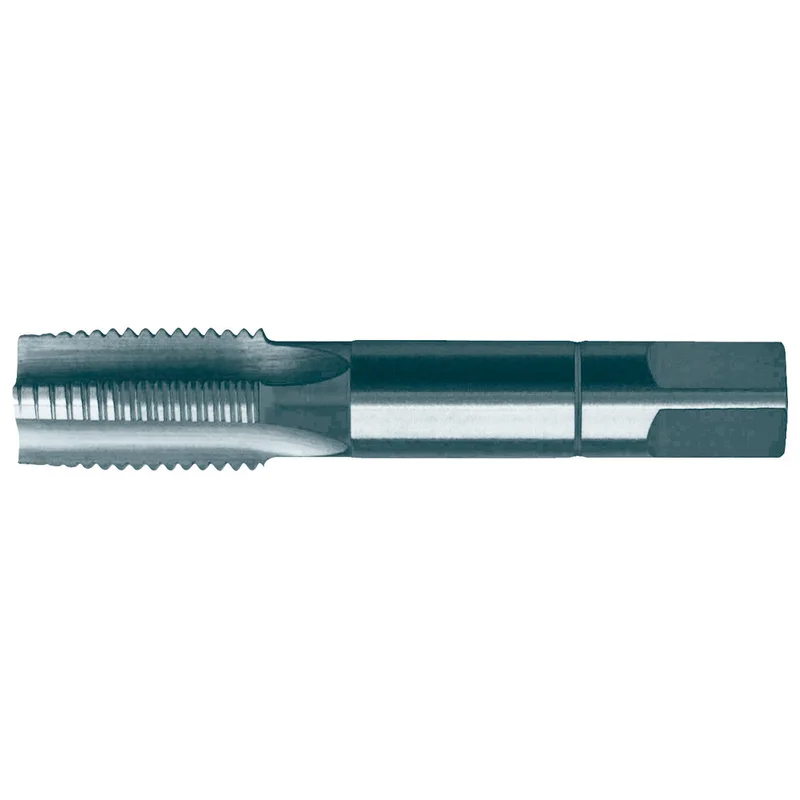 shop.doenges-rs1-298271