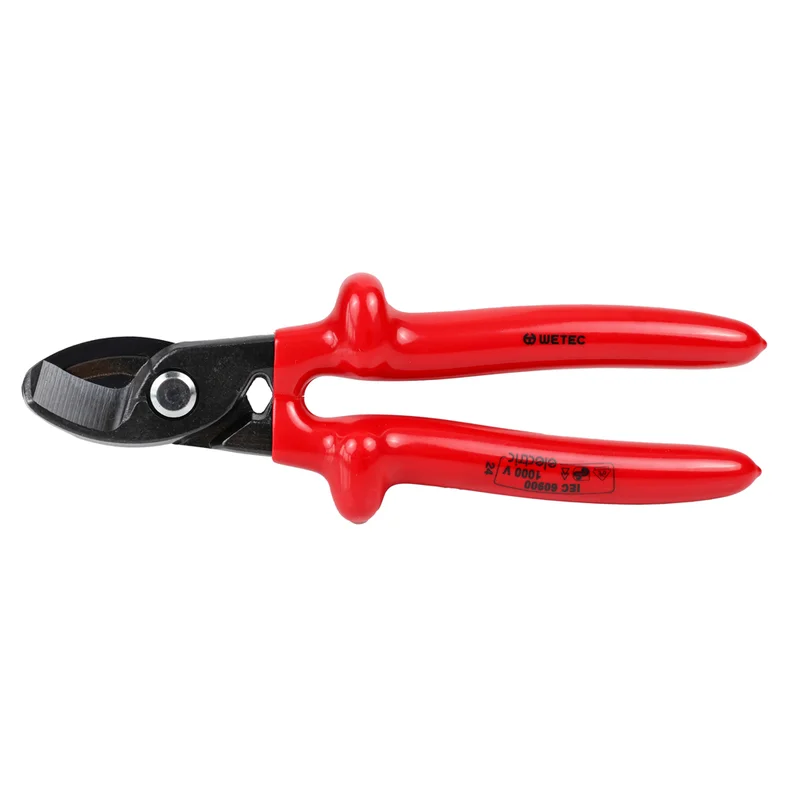 shop.doenges-rs1-329528