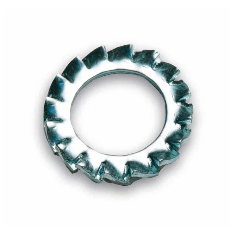 shop.doenges-rs1-346965