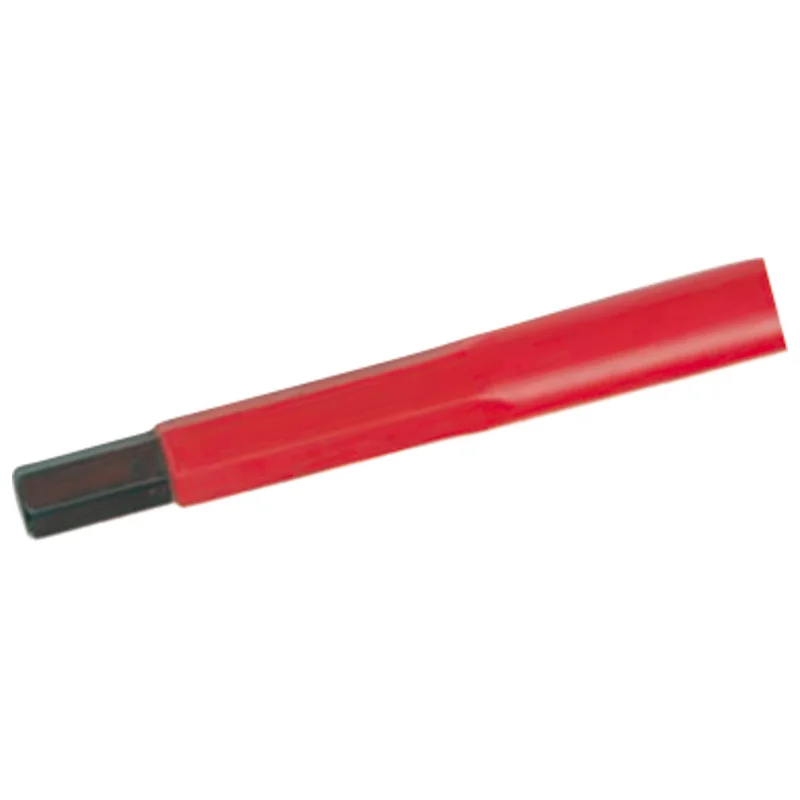 shop.doenges-rs1-352493