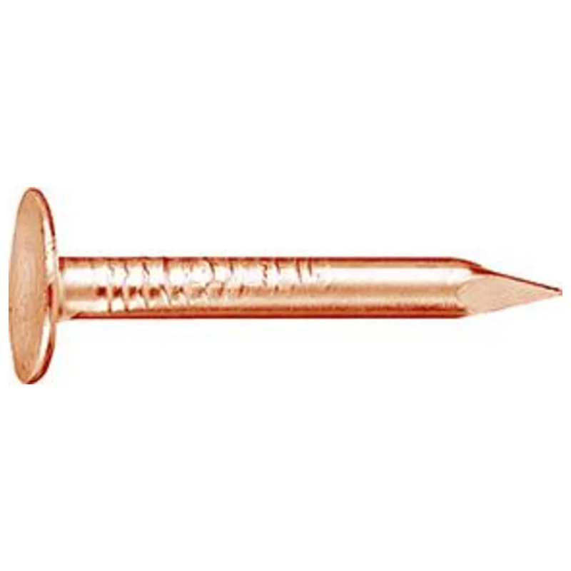 shop.doenges-rs1-386579