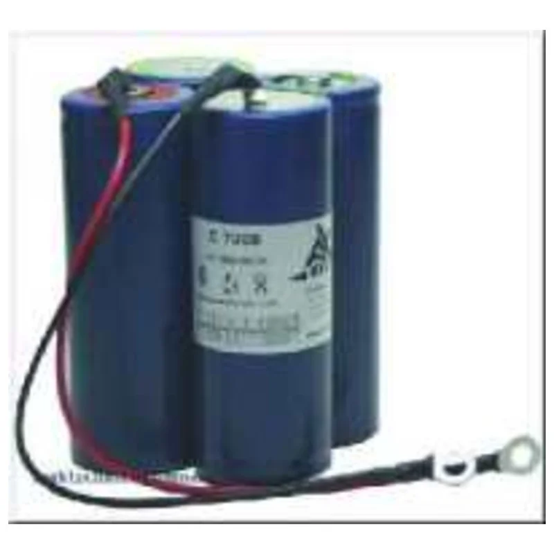shop.doenges-rs1-400234