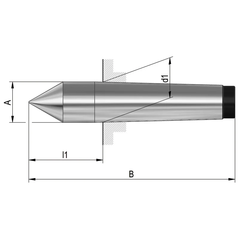 shop.doenges-rs2-160532