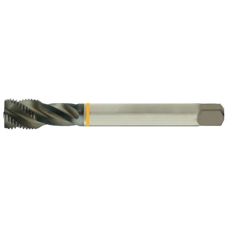 shop.doenges-rs2-215557