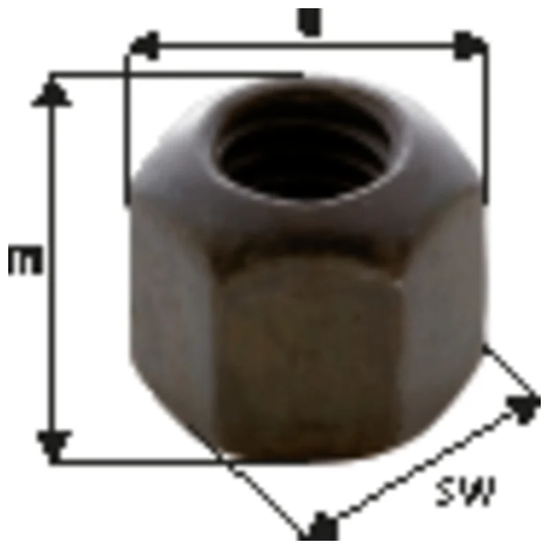 shop.doenges-rs2-215596