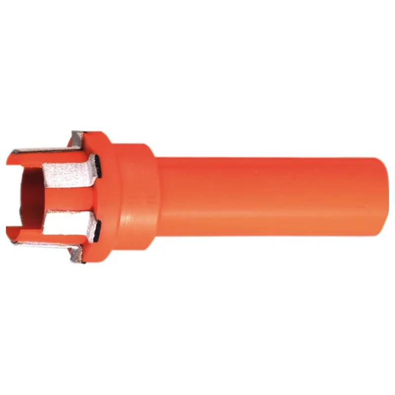 shop.doenges-rs2-220242