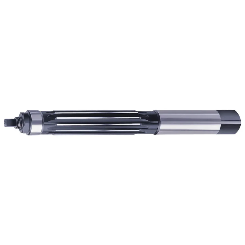 shop.doenges-rs2-231975