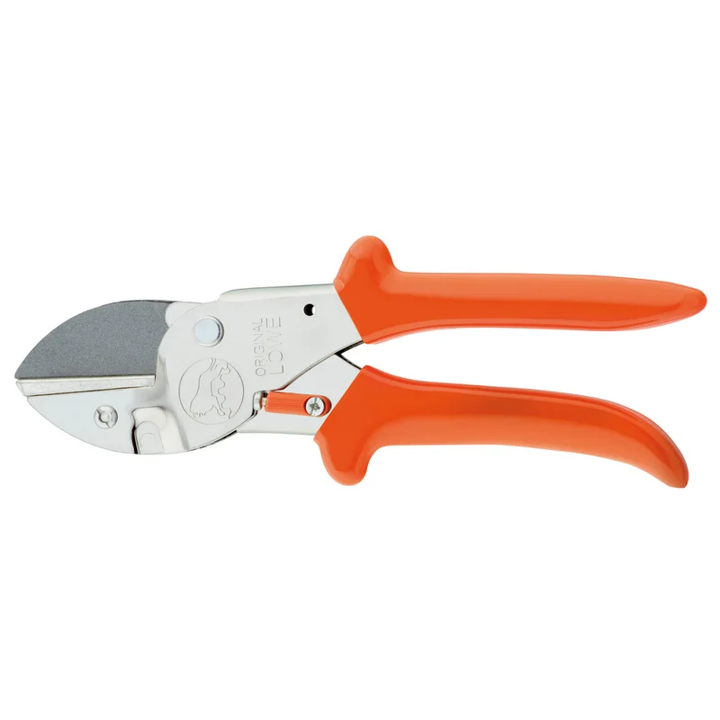 shop.doenges-rs2-265931