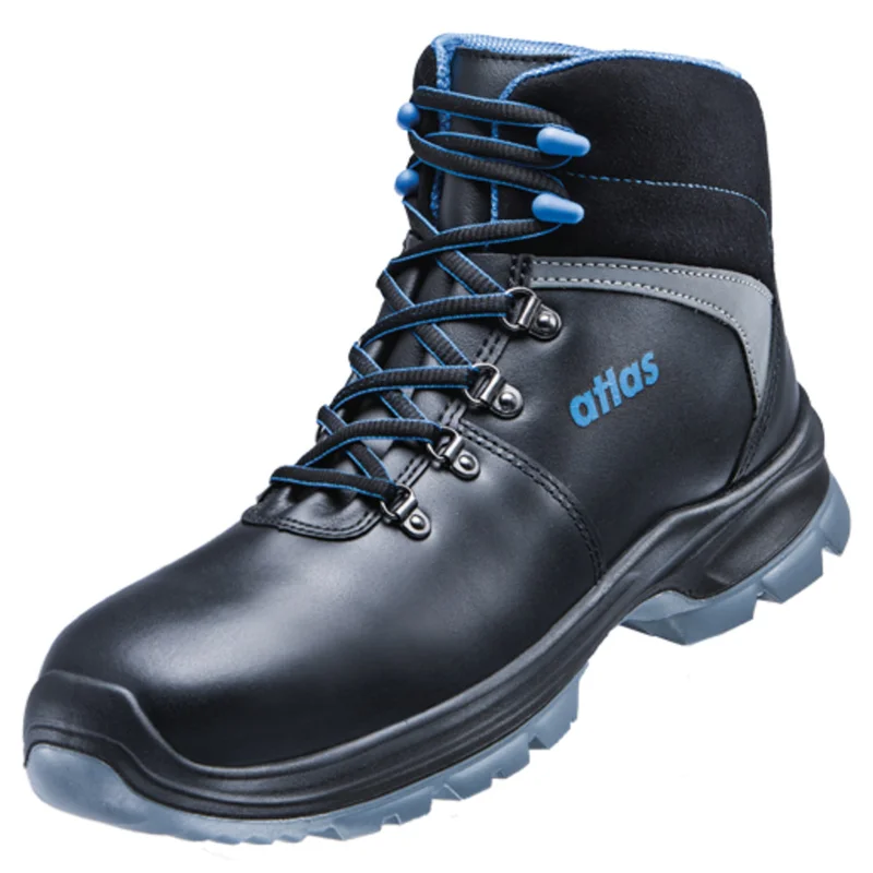 shop.doenges-rs2-269279