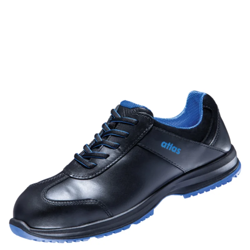 shop.doenges-rs2-276008