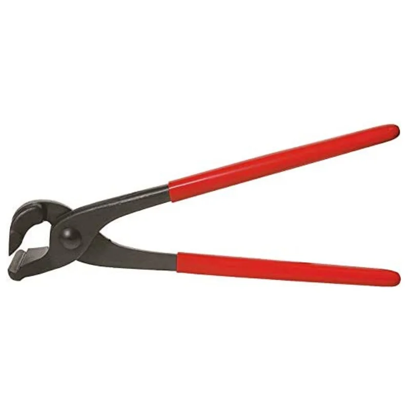 shop.doenges-rs2-291495