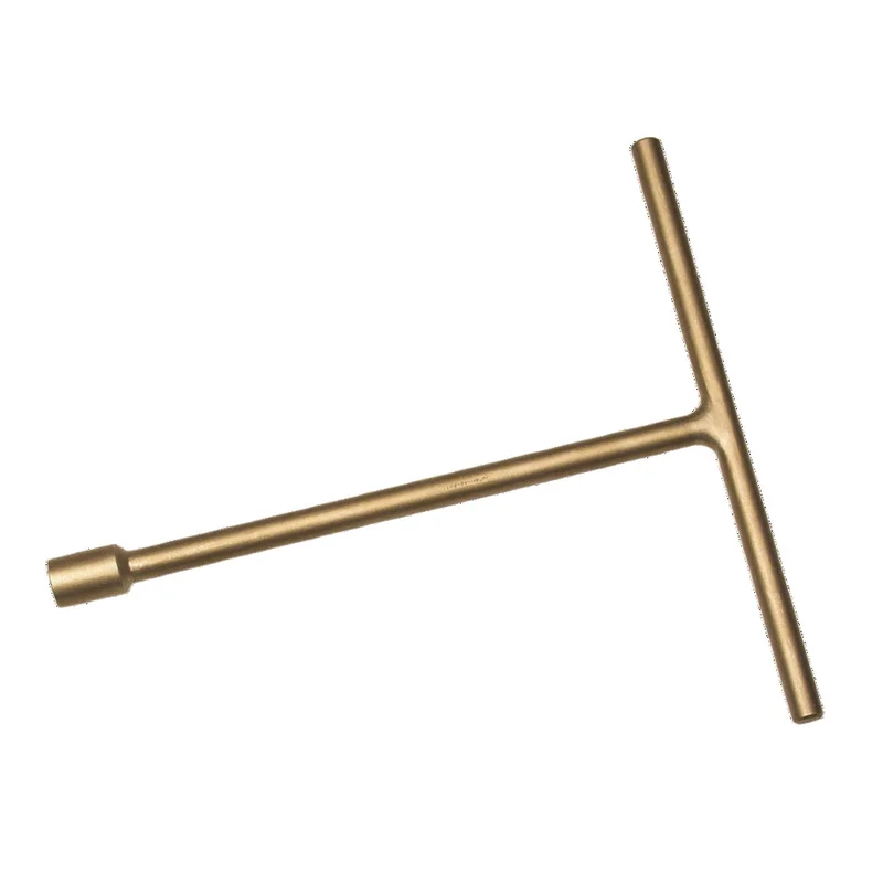 shop.doenges-rs2-296254