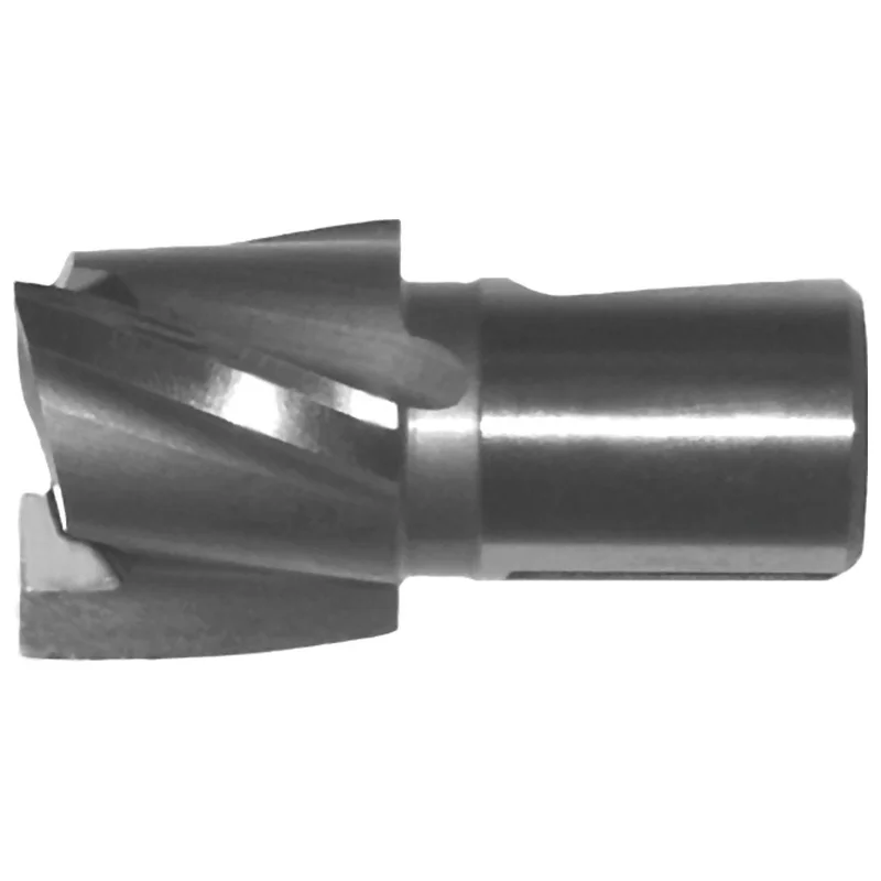shop.doenges-rs2-297120