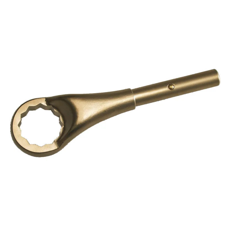 shop.doenges-rs2-386568