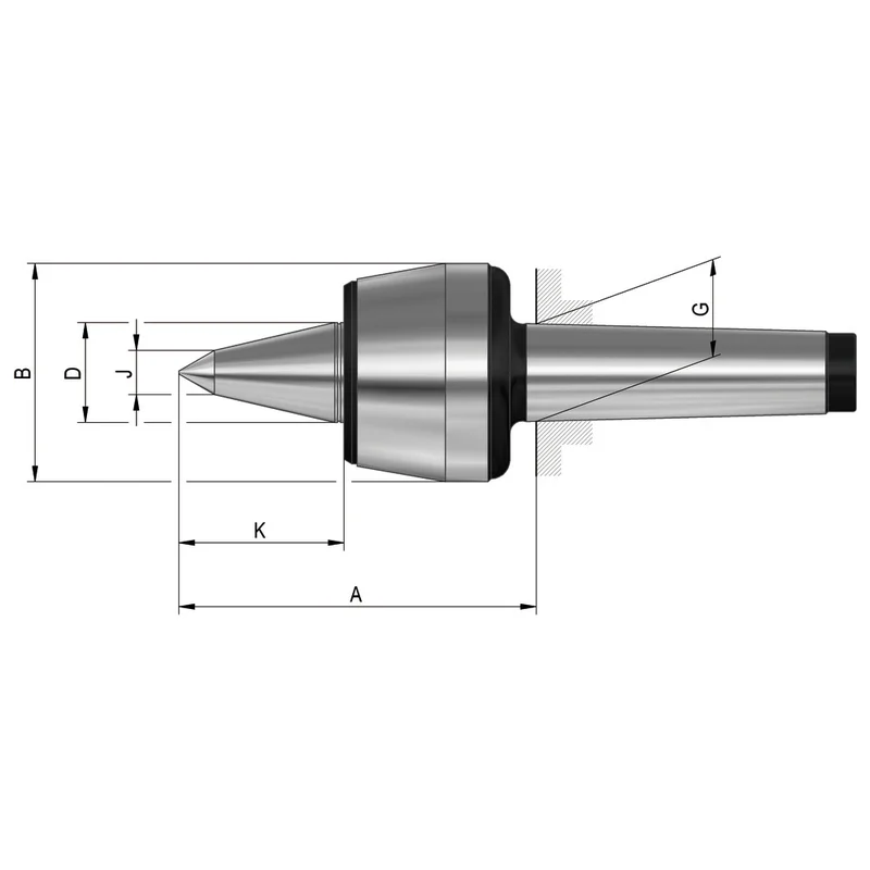 shop.doenges-rs2-389561