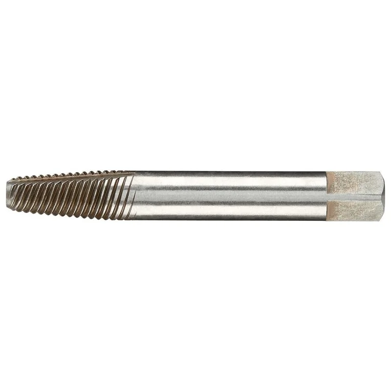 shop.doenges-rs2-430023